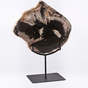 COPY - Petrified Wood On Stand